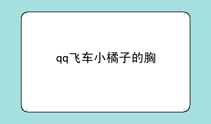 qq飞车小橘子的胸