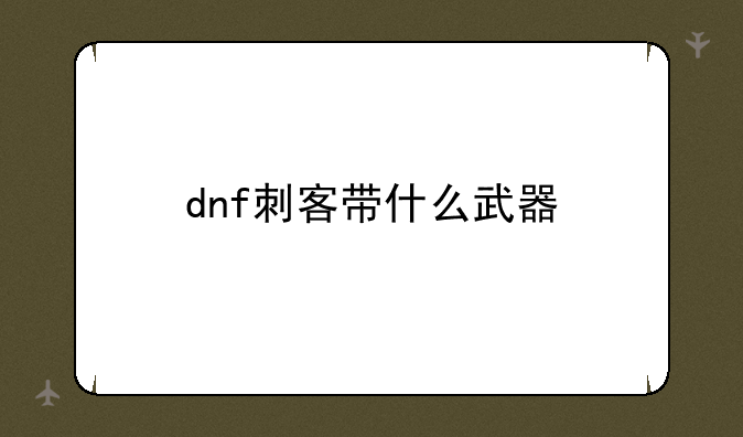 dnf刺客带什么武器