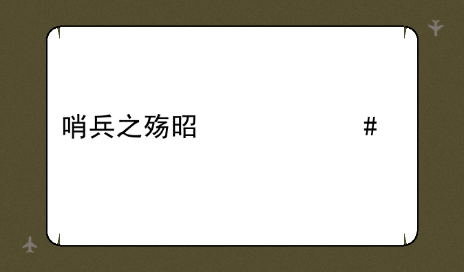哨兵之殇是什么梗