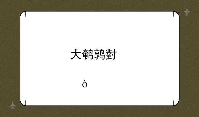 大鹌鹑小炮出装？