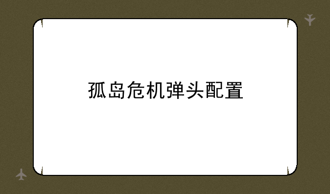孤岛危机弹头配置