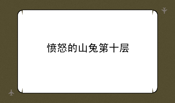 愤怒的山兔第十层