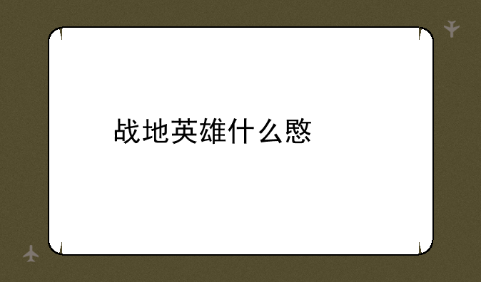战地英雄什么意思