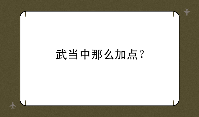 武当中那么加点？