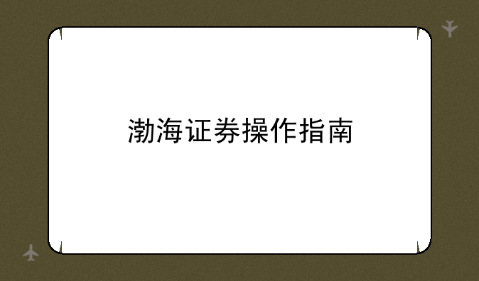 渤海证券操作指南