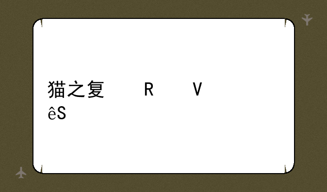 猫之夏攻略第五章