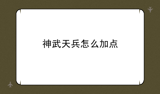 神武天兵怎么加点