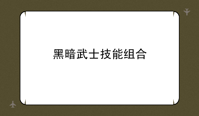 黑暗武士技能组合