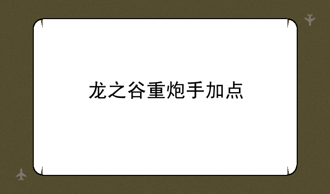 龙之谷重炮手加点