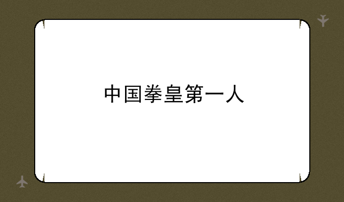 中国拳皇第一人