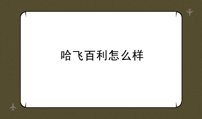 哈飞百利怎么样