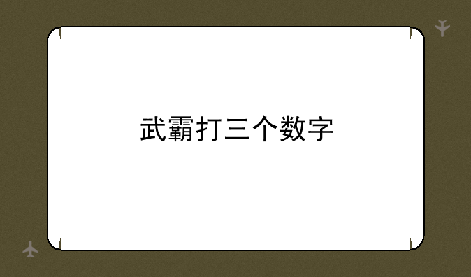 武霸打三个数字