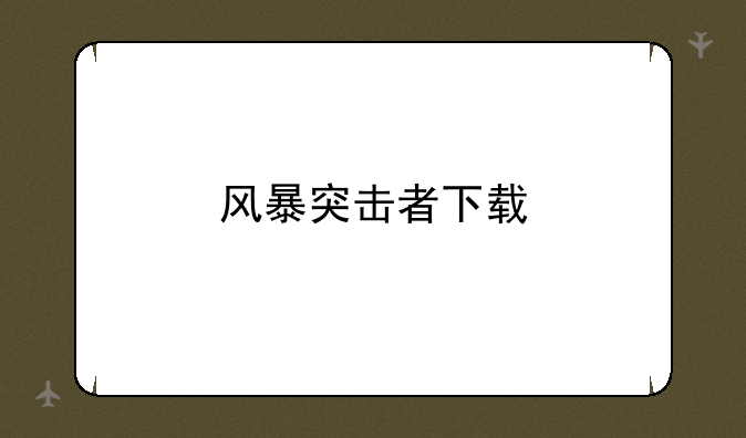 风暴突击者下载