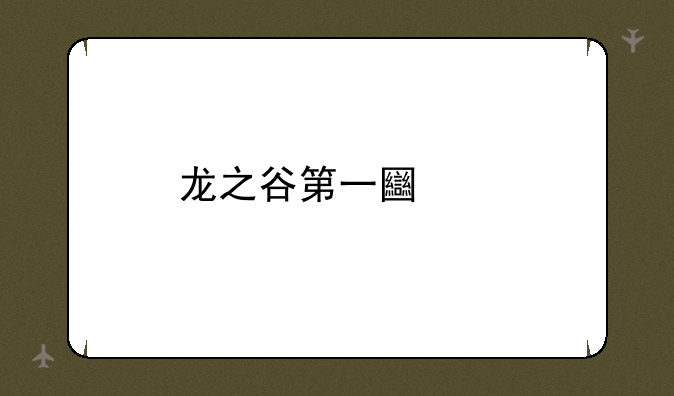 龙之谷第一土豪