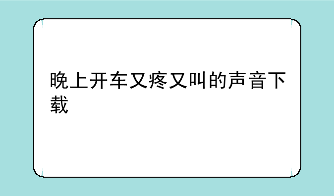 晚上开车又疼又叫的声音下载