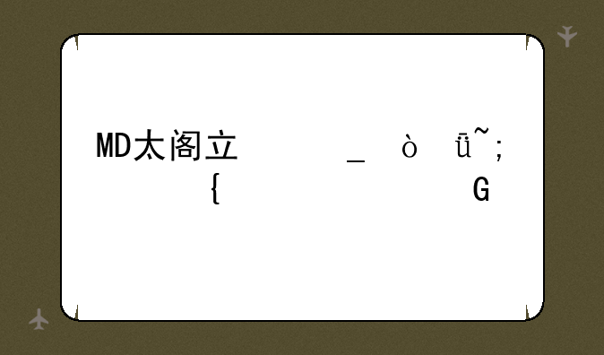 MD太阁立志传1城池属性EC金手指