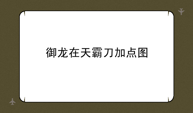 御龙在天霸刀加点图