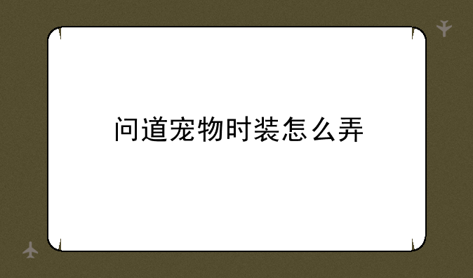 问道宠物时装怎么弄