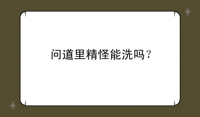 问道里精怪能洗吗？