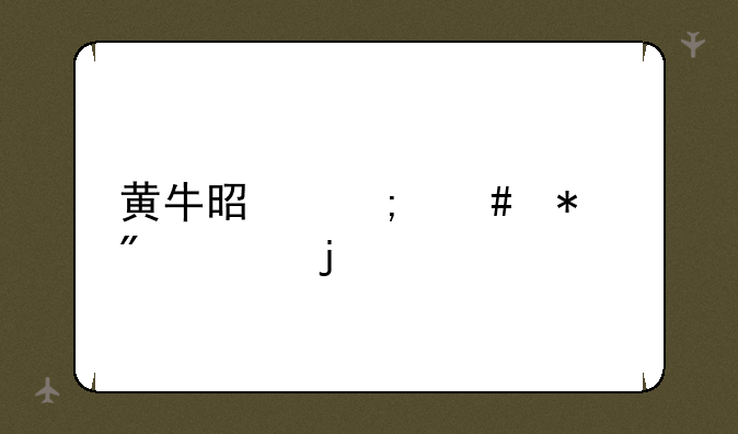黄牛是怎么抢到票的