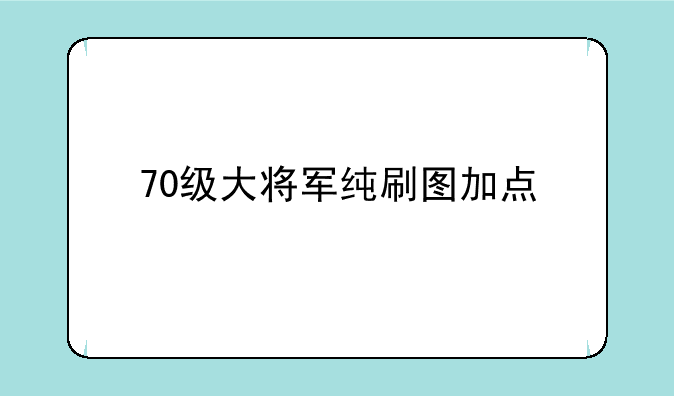 70级大将军纯刷图加点
