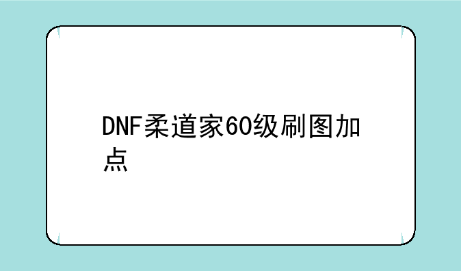 DNF柔道家60级刷图加点