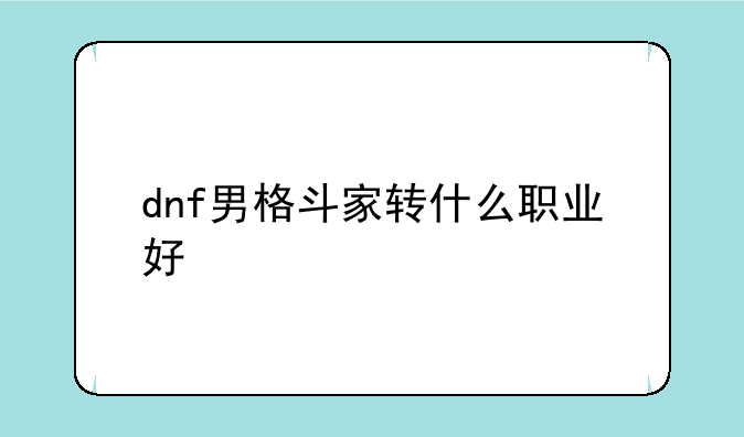 dnf男格斗家转什么职业好
