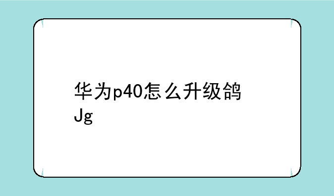 华为p40怎么升级鸿蒙系统