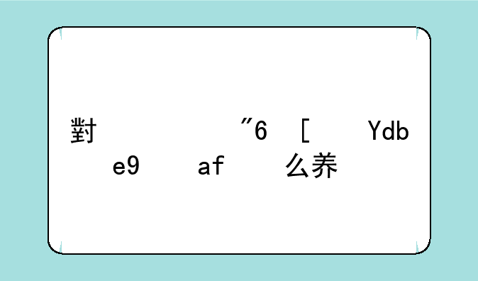 小游戏广告联盟怎么养鸡