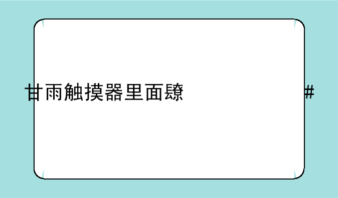 甘雨触摸器里面长什么样