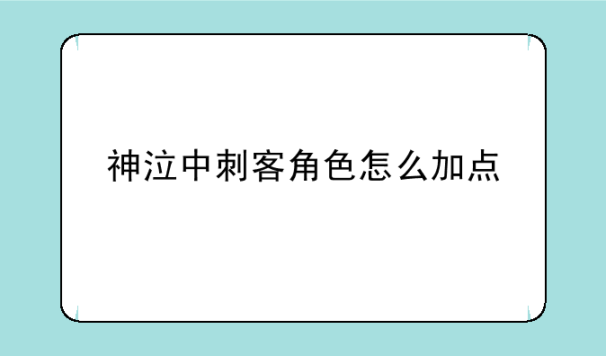 神泣中刺客角色怎么加点