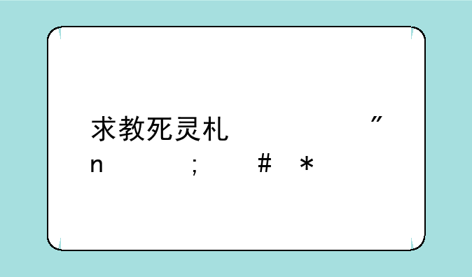 求教死灵术士刷图怎么加点