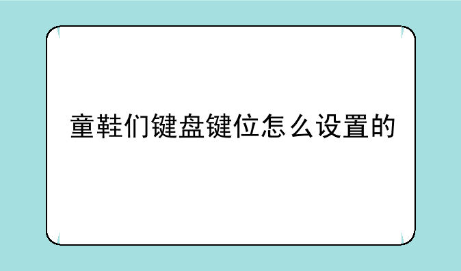 童鞋们键盘键位怎么设置的