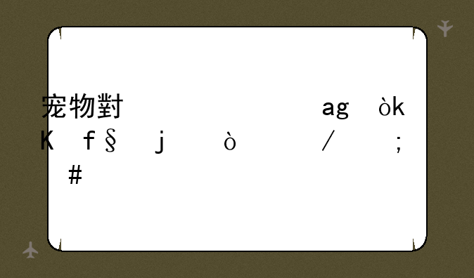 宠物小精灵XY：冒险的开始与终结