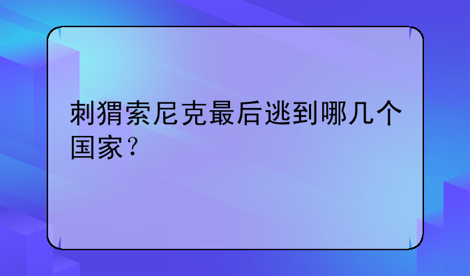 刺猬索尼克最后逃到哪几个国家？
