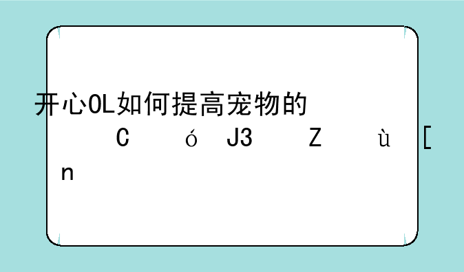 开心OL如何提高宠物的快乐值和忠诚度？