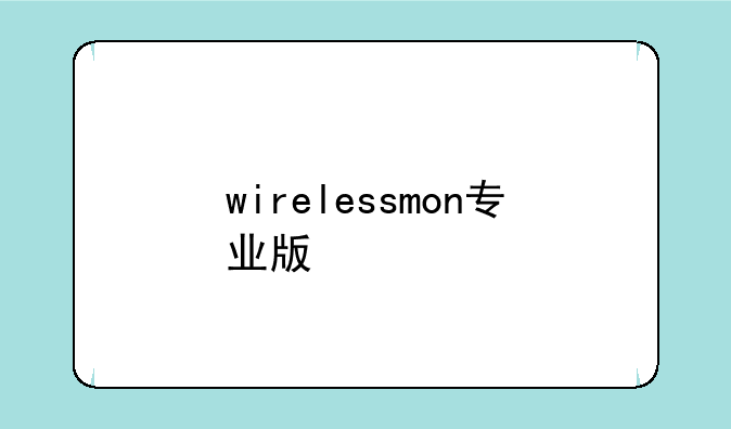 wirelessmon专业版