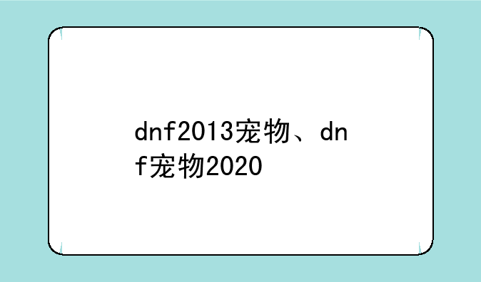 dnf2013宠物、dnf宠物2020