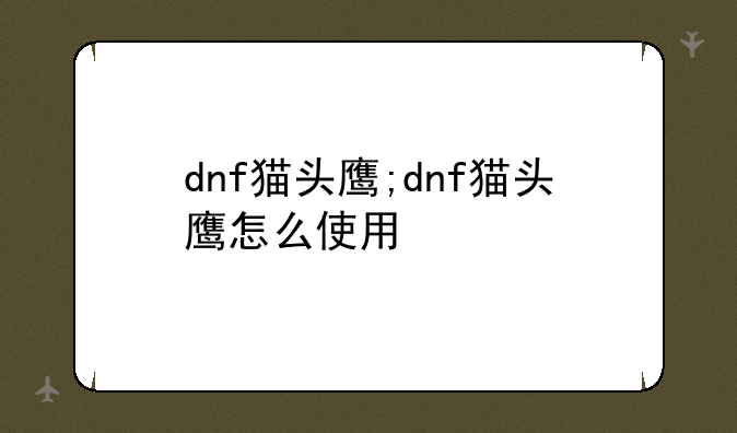 dnf猫头鹰;dnf猫头鹰怎么使用