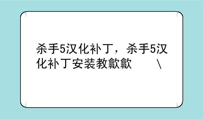 杀手5汉化补丁，杀手5汉化补丁安装教程