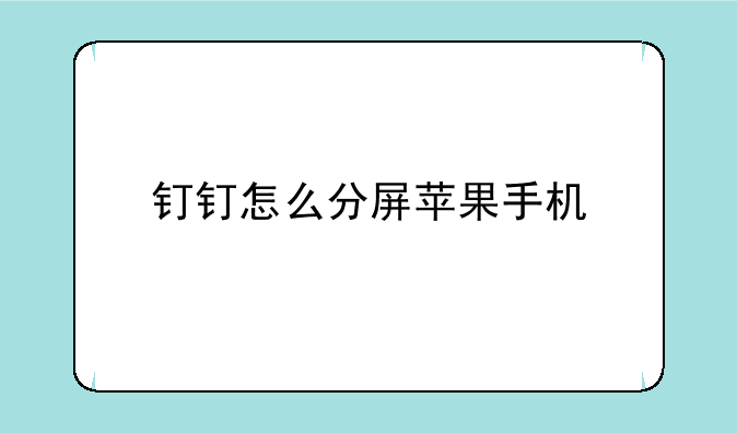 钉钉怎么分屏苹果手机