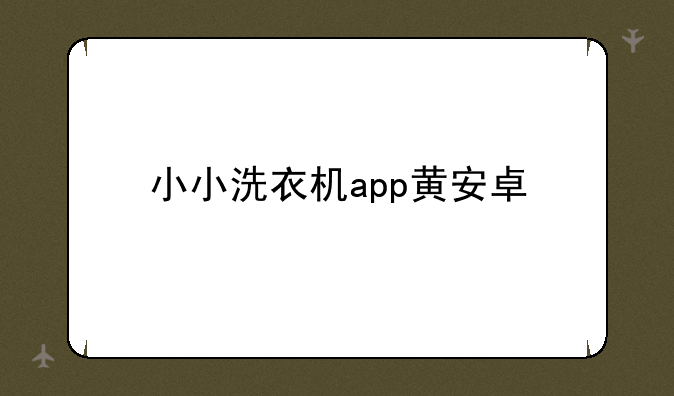 小小洗衣机app黄安卓