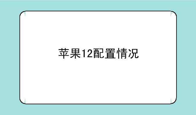 苹果12配置情况